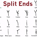 split-ends-graph